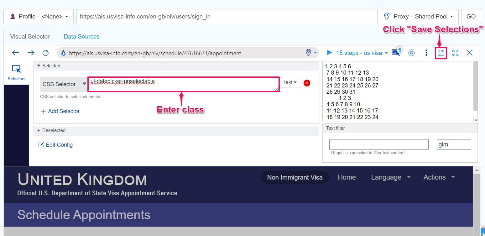 View of the visa appointment calendar on the website 