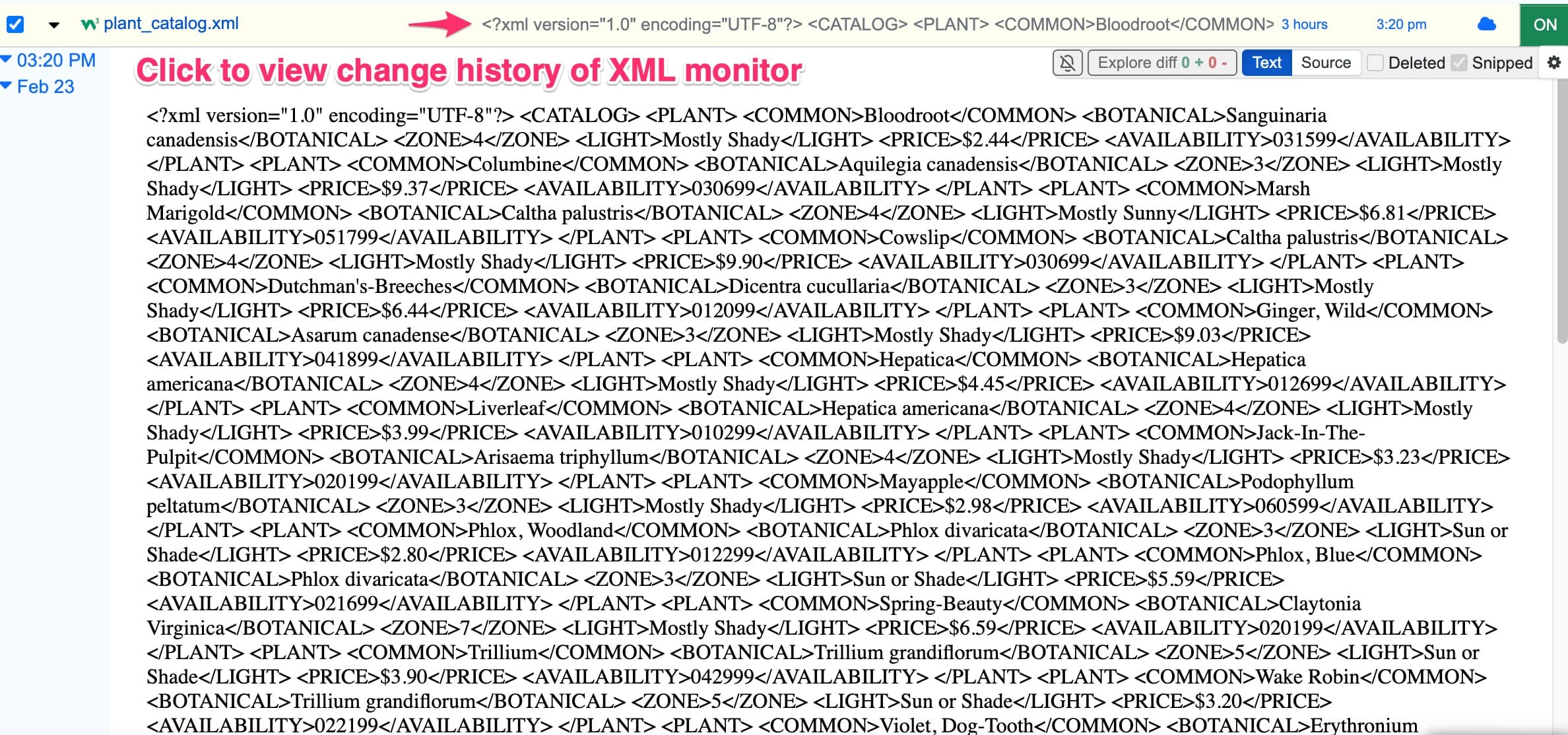 Adding XML monitor